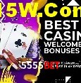 A Experiência Imersiva dos Cassinos Ao Vivo no 5555bet
